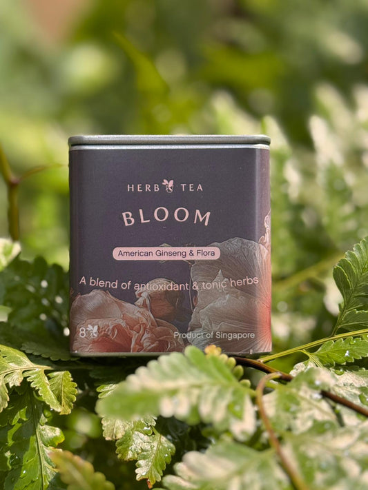 健康茶膠囊:Bloom