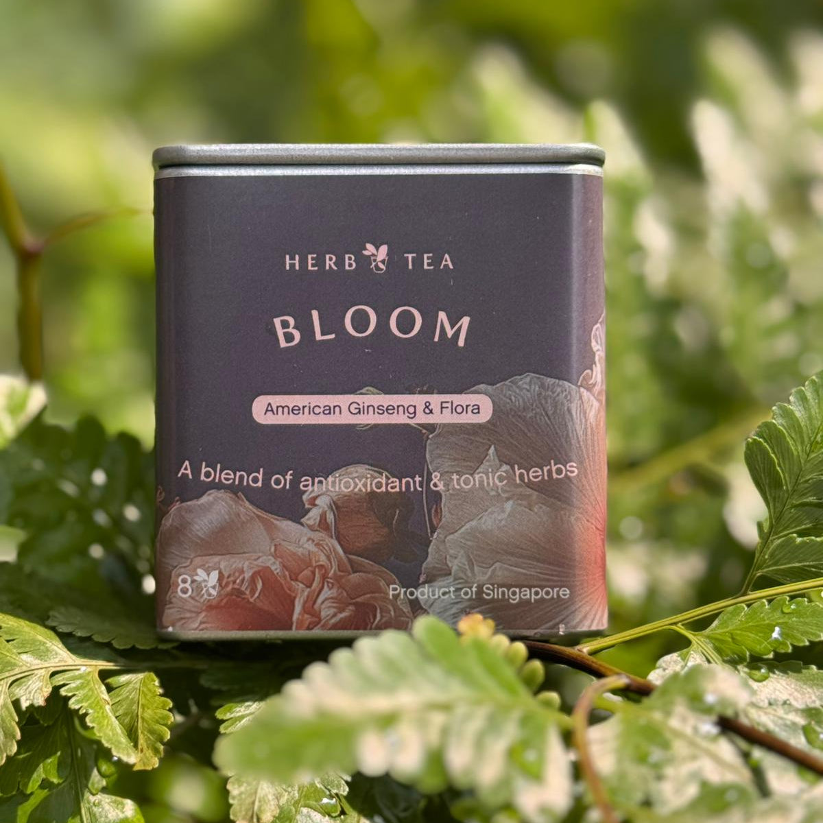 Herb tea canister labeled 'Bloom' on a leafy background