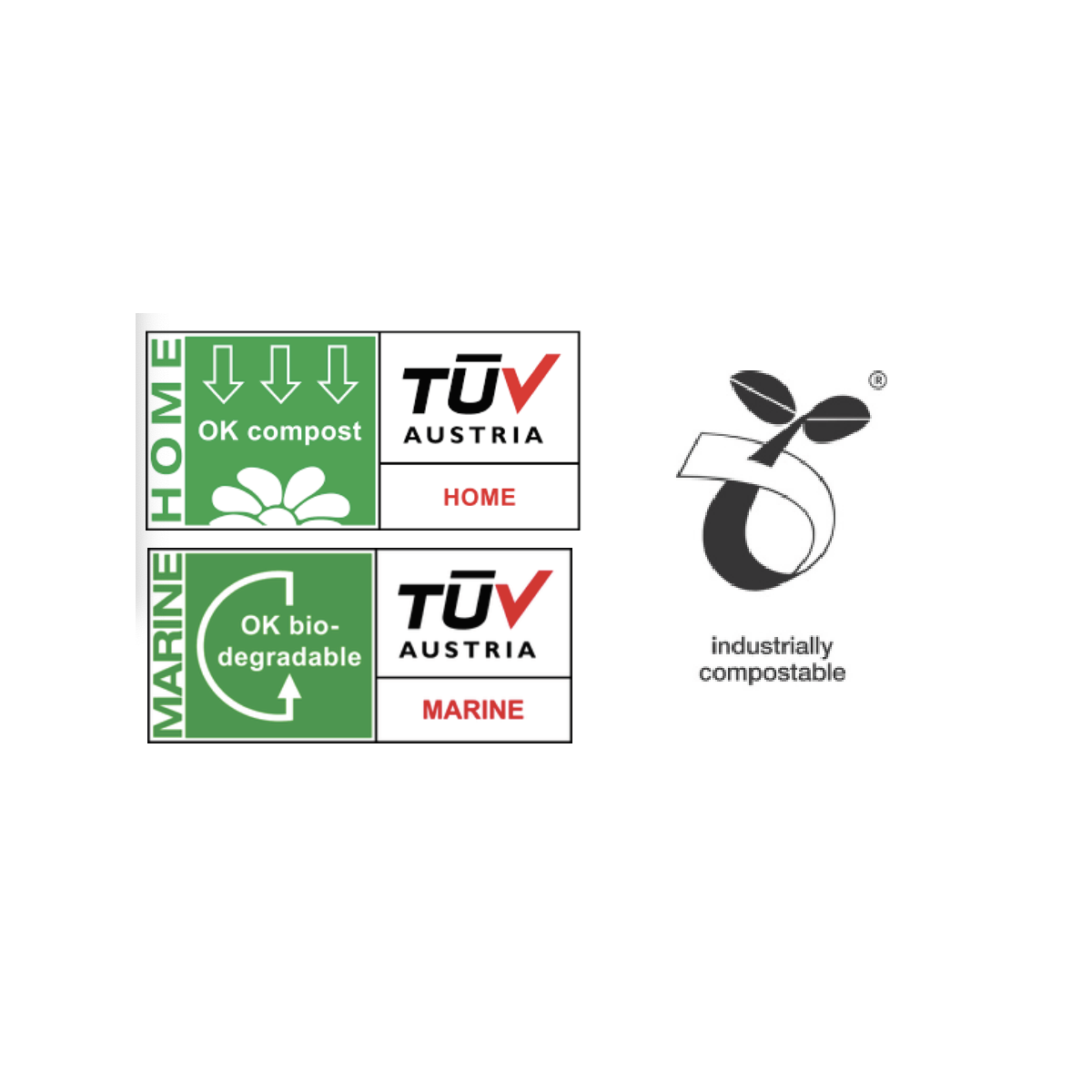 English Breakfast Tea Capsule