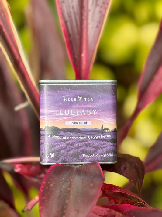 健康茶膠囊：LULLABY